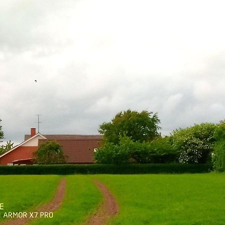 Lilleledgaard Country House Ringkøbing Exterior foto